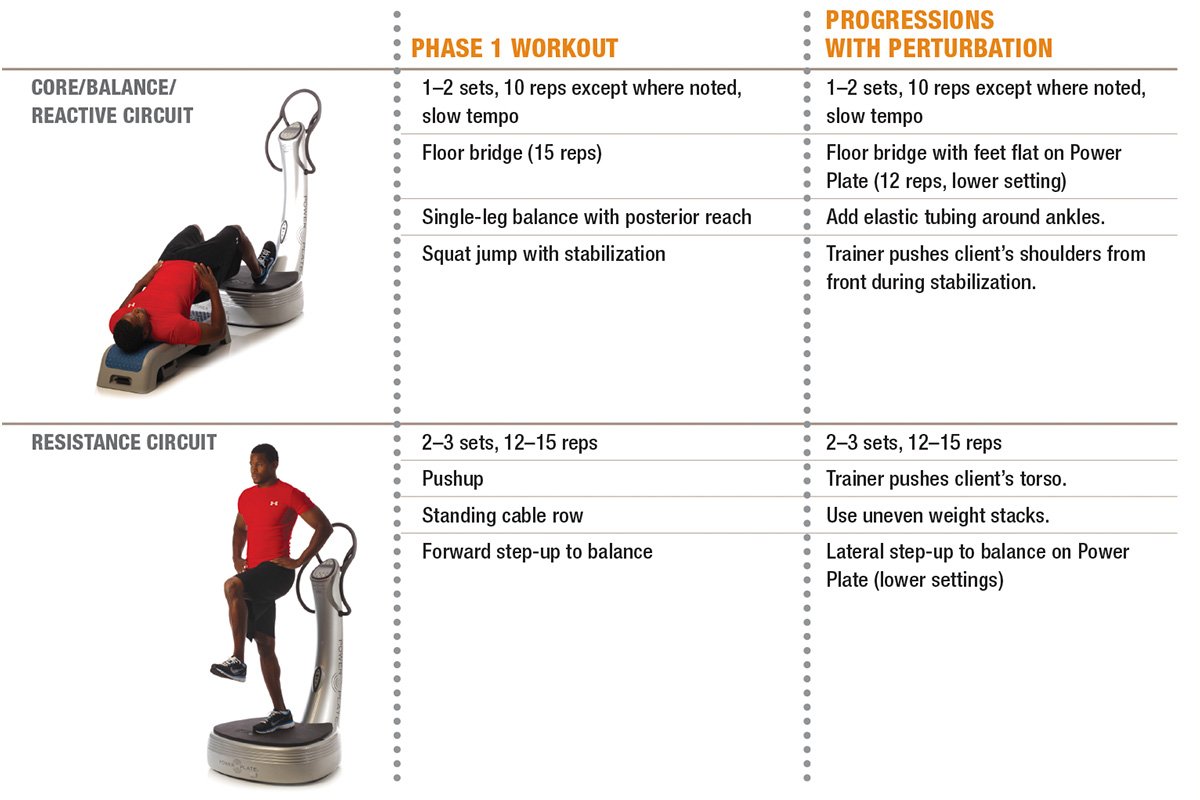 Clenbuterolfr opt phase 1 workout chart