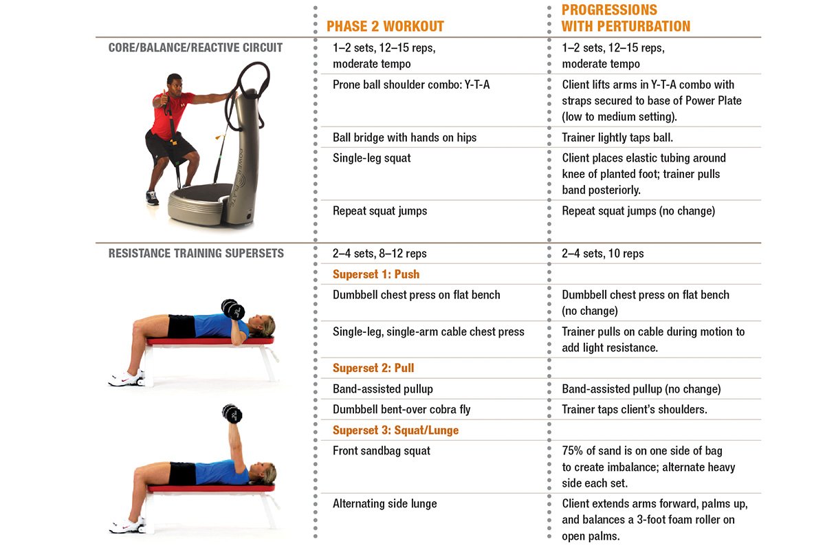 Clenbuterolfr opt phase 2 workout chart