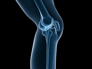 screw home rotation at the knee joint